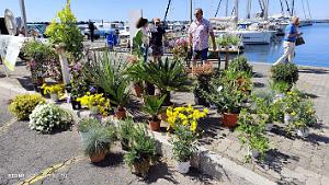 Cap d'Agde - Avant-Ports - 2 Juin 2024 - 24